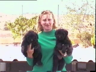 conchi met pups